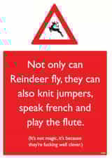 xmas festive Christmas Card 12117 created by Brainbox Candy