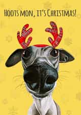 Funny Scottish Dog Christmas Card created by sarahcoxartwork