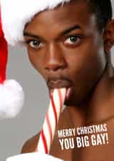 Photographic Humour Christmas Card 22089 created by Simon Baxendale