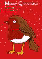 robin robinredbreast Card 34748 created by Gary Mackean