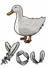 duck fuck Card 34885 created by Rory Kennedy