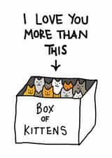 Cute Valentines Day Card - Kittens - I Love You More Than This - Box Of Kittens created by Cat Flap Cards