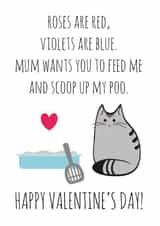 Cute Valentines Day Card - From The Cat - Roses Are Red Violets Are Blue Mum Wants You To Feed Me And Scoop Up My Poo created by Miümi Cat