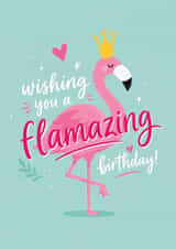 Cute Flamingo Lover Birthday Card - For Friend - For Her - Funny Pun created by Tiger Feet Creations