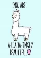 llama beautiful Valentines Day Card 6748 created by Everdoodle