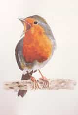 Card 34557 created by Kit Sturgess