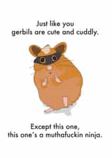 Rude Valentines Day Card - Gerbils - Just Like You Gerbils Are Cute And Cuddly created by OBJECTABLES