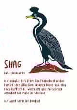 shag bird Card 32882 created by Newton and the Apple