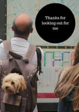 friends dog Love & Friendship Card 36881 created by Sara Elise