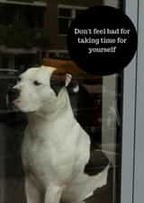 dog illness Card 36882 created by Sara Elise