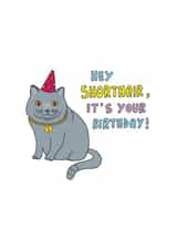 female male Birthday Card 32503 created by Kerry Stewart