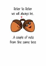 Cute Birthday Card - Sister - Poem - Sister To Sister We Will Always Be A Couple Of Nuts From The Same Tree created by That Card Shop