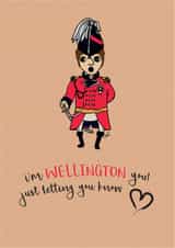 knapp war Card 33936 created by Black Fell