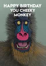 birthday monkey Card 35170 created by DengalsDoodles