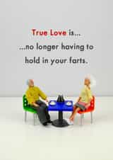 Funny Figurine Anniversary Card / Valentines Day Card / Wedding Card - True Love Is No Longer Having To Hold In Your Farts created by Bold & Bright Cards
