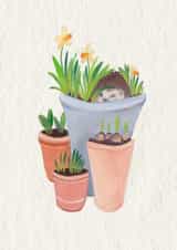 Female Mother Card 23792 created by Carina Roberts