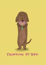 sausage dachshund Thinking of you Card 7728 created by Faye Finney