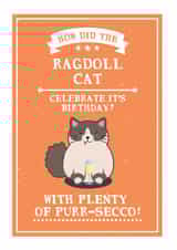 how did Birthday Card 13883 created by Wild Cards by Becky