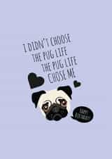 pug pugs Card 37661 created by Coco Loco Boutique