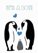 penguin boy New Baby Card 10383 created by Olivia Morgan ltd