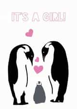 penguin cute New Baby Card 10384 created by Olivia Morgan ltd