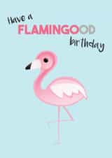 flamingo flamingood Birthday Card 12833 created by Tori's Little Bubble