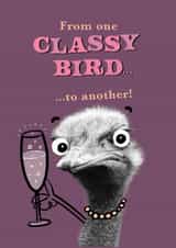 Funny Birthday Card - Classy Bird - Ostrich - Drink created by Pink wink