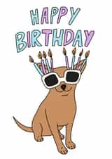 Dog in sunglasses birthday card created by Sunny Spills