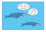 animal whale Humour Card 7652 created by StinkWizard