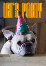 french bulldog Birthday Card 14093 created by Sofia Wåhlin