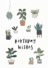 Cute Birthday Card for Your Plant Loving Friend - Birthday Wishes created by Jessie Miles