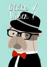 Older Wiser Birthday Card 31657 created by The Grumpy Pug