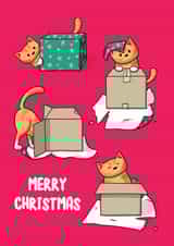 Merry Christmas Cat in a Box created by Doodlecats