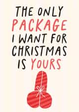 The Only Package I Want For Christmas Is Yours - Funny Christmas Card For Him created by Studio Doodles