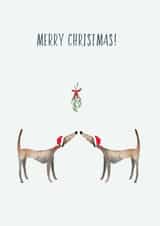 Dog whippet Christmas Card 9224 created by Harriet Lowther