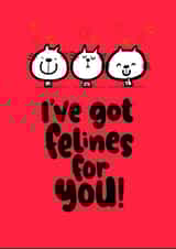 felines for you created by Pink wink
