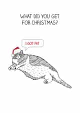 Funny Christmas Card - I Got Fat - Cat created by The Card Compony