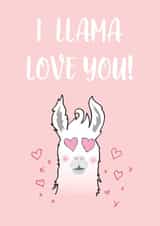 llama llamalove Card 38163 created by Fenella Designs