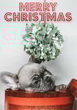 Merry Christmas - Cute Puppy & Mistletoe 1001 created by Sqwibble Cards