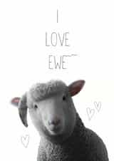 Cute Ewe Pun Anniversary Card / Valentines Day Card - I Love Ewe created by Chocolate Frog