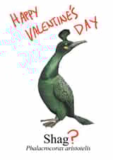 shag bird Valentines Day Card 38313 created by Blair