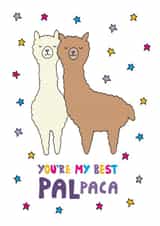 Cute Alpaca Pun Friendship Card / You're My Best Palpaca created by Kerry Stewart