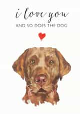 From the Dog labrador Valentines Day Card 24088 created by Jo Scott Art