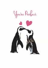 penguin youre Valentines Day Card 32761 created by Olivia Morgan ltd