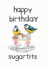 watercoulour birds Birthday Card 14555 created by Blair