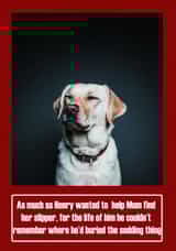 dog mum Card 35048 created by Oh So Cheeky
