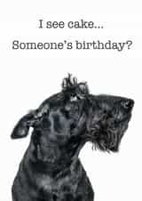 Cute Birthday Card - I See Cake... - Dog created by GRUFFPAWTRAITS