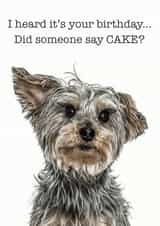 dog cake Birthday Card 14729 created by GRUFFPAWTRAITS