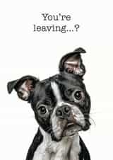 youre leaving Leaving Card 14730 created by GRUFFPAWTRAITS