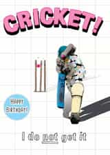 Sport Cricket Birthday Card 14736 created by I Do Not Careds
